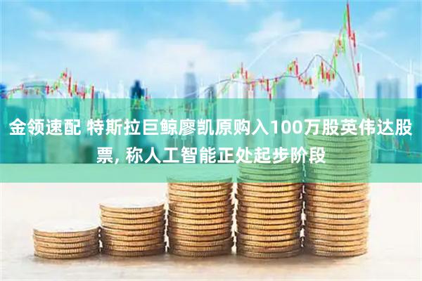 金领速配 特斯拉巨鲸廖凯原购入100万股英伟达股票, 称人工智能正处起步阶段