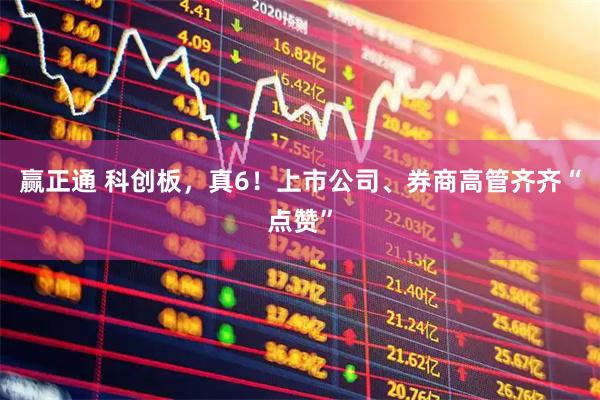 赢正通 科创板，真6！上市公司、券商高管齐齐“点赞”
